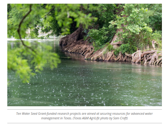 Water Seed Grant Awards $2.39 Million in Research Funding